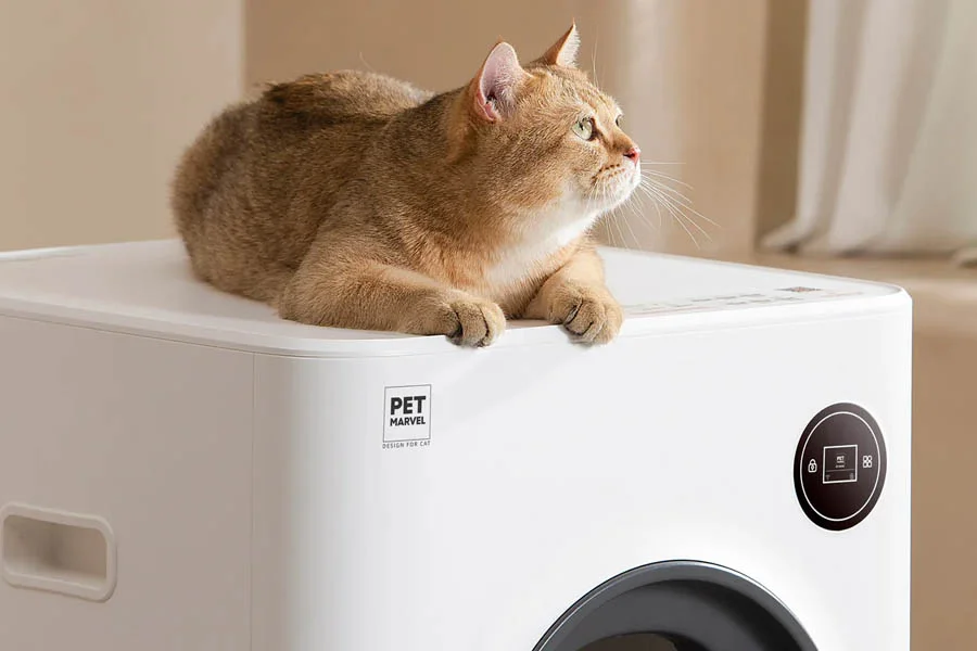 scent free litter box